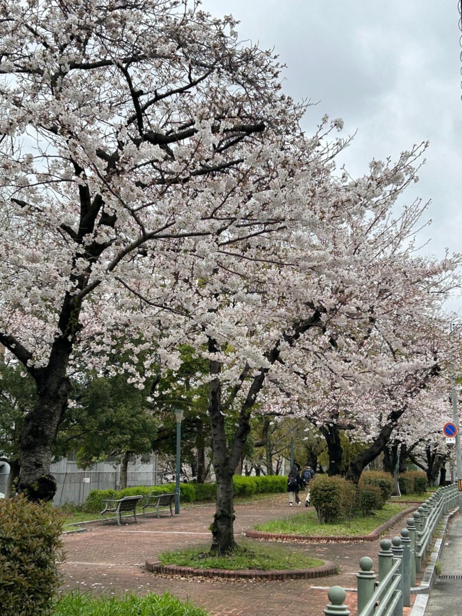 Noah Grande (Adults Only) Hotel Osaka Buitenkant foto