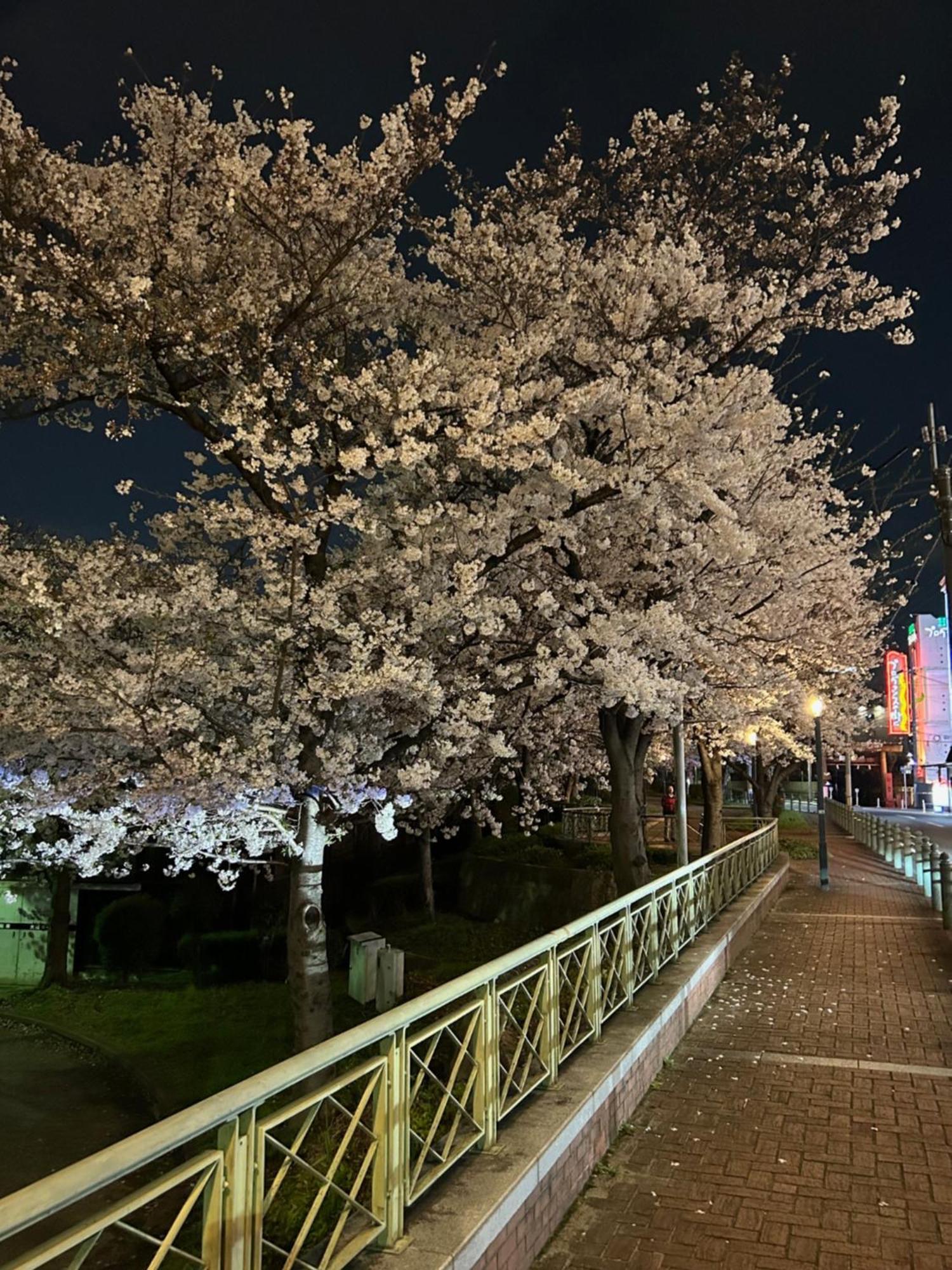 Noah Grande (Adults Only) Hotel Osaka Buitenkant foto
