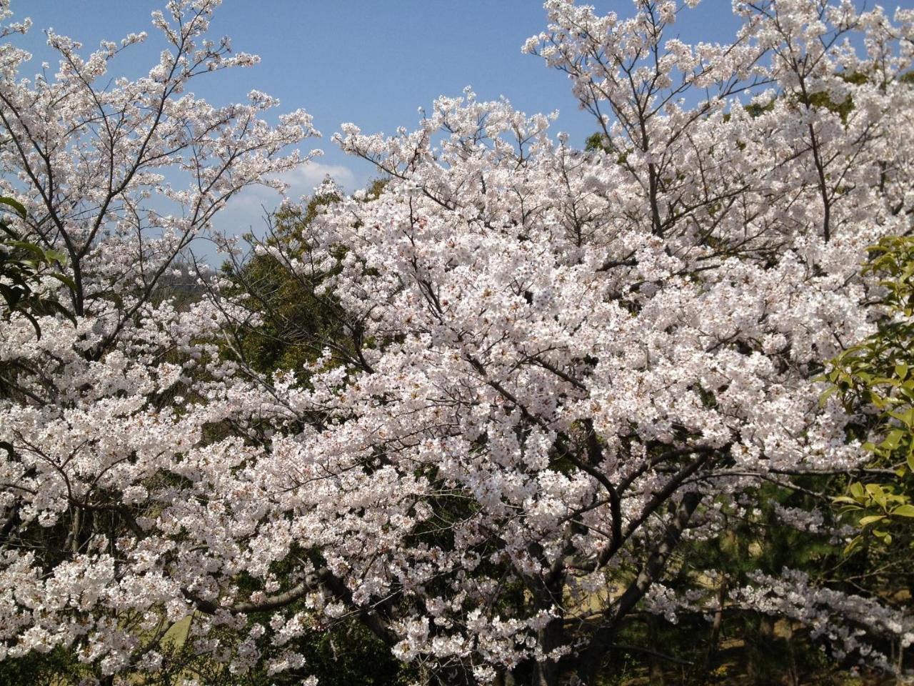 Noah Grande (Adults Only) Hotel Osaka Buitenkant foto